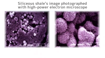 Siliceous shale's image photographed with high-power electron microscope